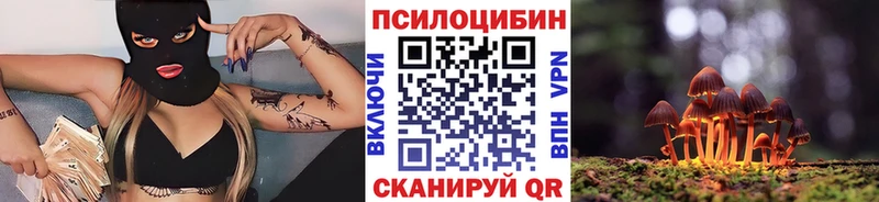 Псилоцибиновые грибы MAGIC MUSHROOMS  закладки  Усть-Джегута 
